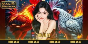 Đá Gà C1