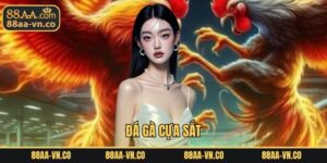 Đá Gà Cựa Sắt
