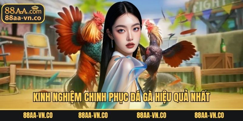 Kinh nghiệm chinh phục đá gà hiệu quả nhất