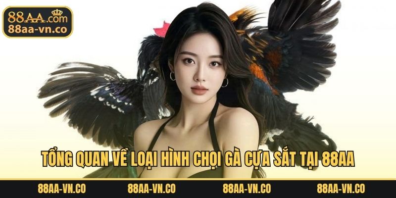 Tổng quan về loại hình chọi gà cựa sắt tại 88AA