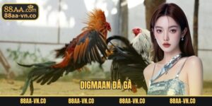 DIGMAAN Đá Gà