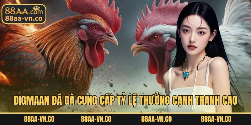 DIGMAAN đá gà cung cấp tỷ lệ thưởng cạnh tranh cao