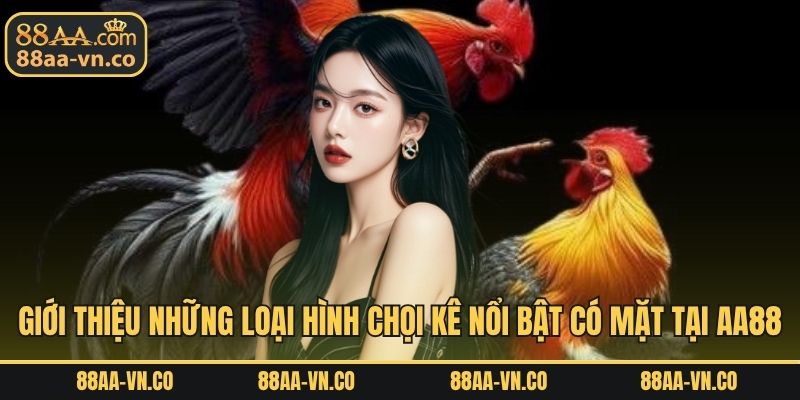 Giới thiệu những loại hình chọi kê nổi bật có mặt tại AA88