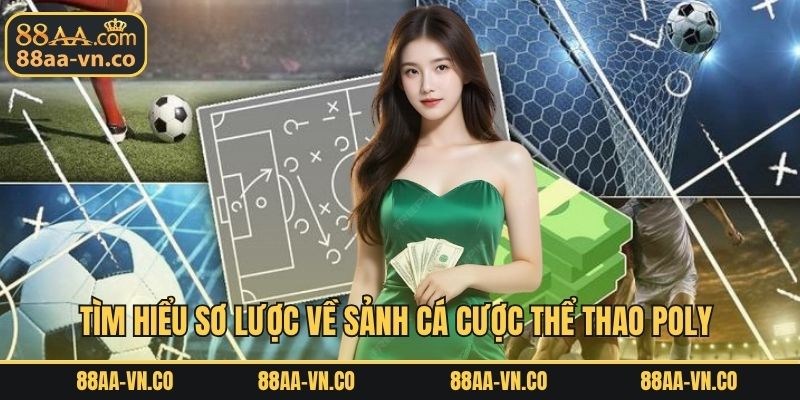 Tìm  hiểu sơ lược về sảnh cá cược thể thao Poly 