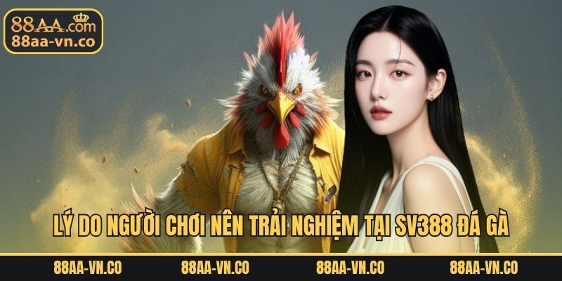 Lý do người chơi nên trải nghiệm tại SV388 đá gà