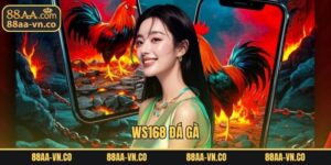 WS168 Đá Gà