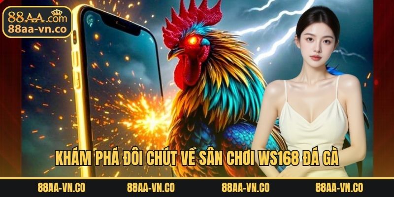 Khám phá đôi chút về sân chơi WS168 đá gà