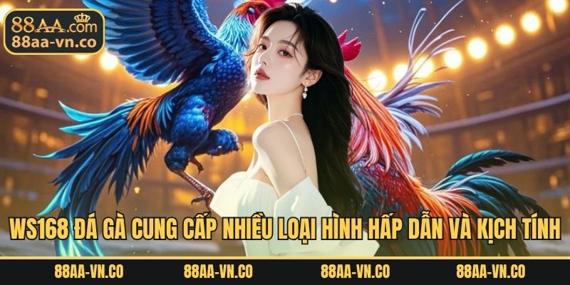 WS168 đá gà cung cấp nhiều loại hình hấp dẫn và kịch tính